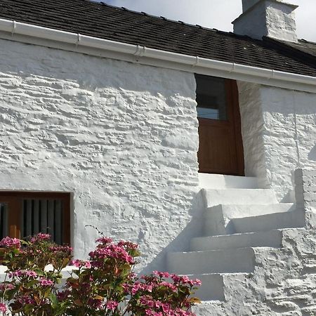 Little Barn Cottage Newport  Exteriér fotografie